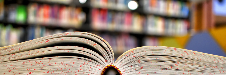 Uniwersytet Ekonomiczny w Krakowie: Studia na kierunku Marketing i komunikacja rynkowa